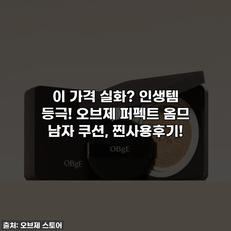 이 가격 실화? 인생템 등극! 오브제 퍼펙트 옴므 남자 쿠션, 찐사용후기!