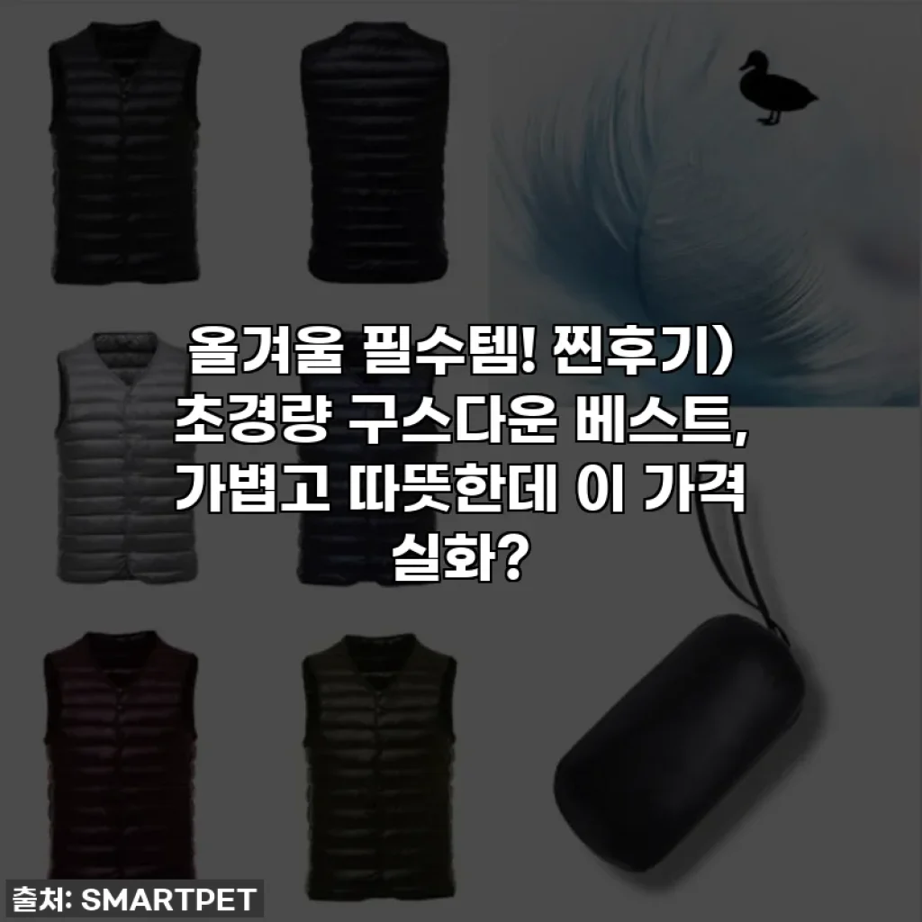 올겨울 필수템! 찐후기) 초경량 구스다운 베스트, 가볍고 따뜻한데 이 가격 실화?