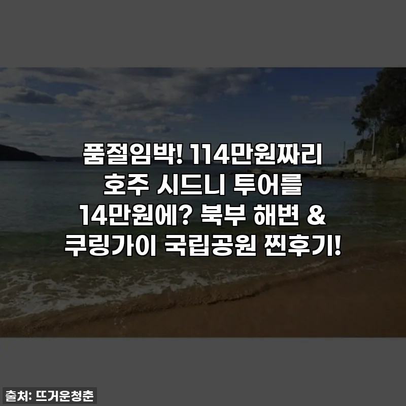 품절임박! 114만원짜리 호주 시드니 투어를 14만원에? 북부 해변 & 쿠링가이 국립공원 찐후기!
