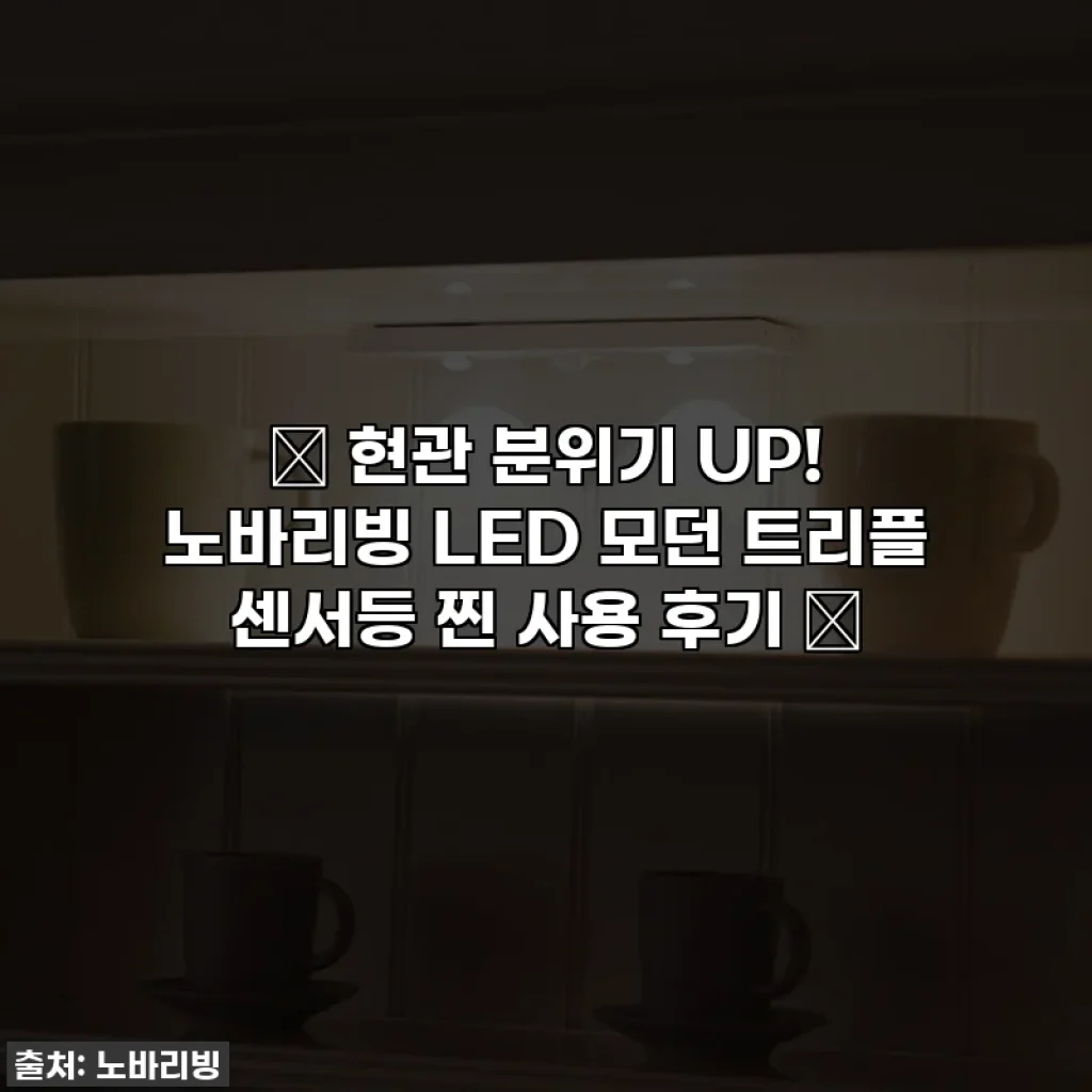 ✨ 현관 분위기 UP! 노바리빙 LED 모던 트리플 센서등 찐 사용 후기 ✨