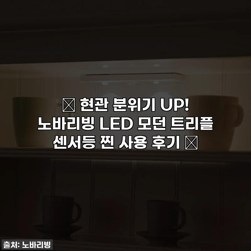 ✨ 현관 분위기 UP! 노바리빙 LED 모던 트리플 센서등 찐 사용 후기 ✨