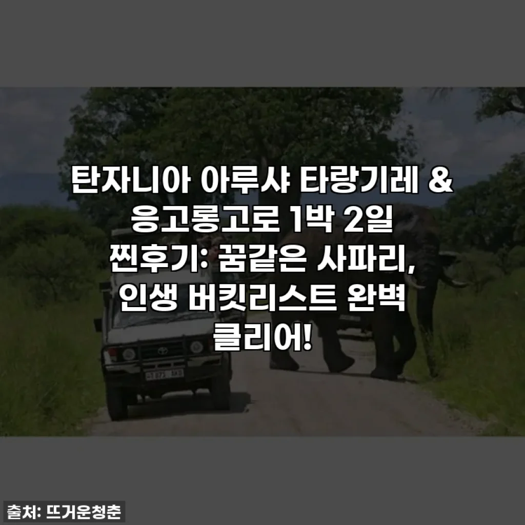 탄자니아 아루샤 타랑기레 & 응고롱고로 1박 2일 찐후기: 꿈같은 사파리, 인생 버킷리스트 완벽 클리어!