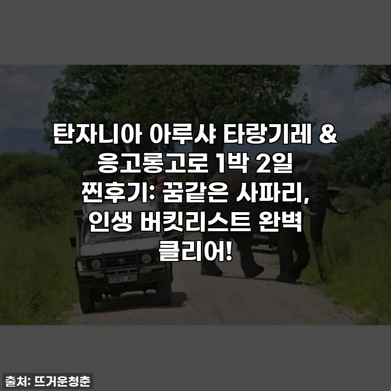 탄자니아 아루샤 타랑기레 & 응고롱고로 1박 2일 찐후기: 꿈같은 사파리, 인생 버킷리스트 완벽 클리어!