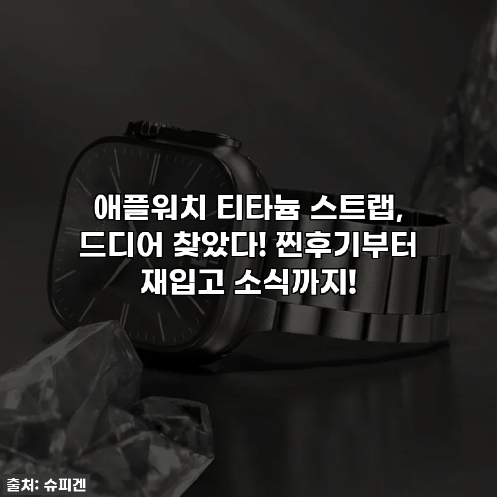 애플워치 티타늄 스트랩, 드디어 찾았다! 찐후기부터 재입고 소식까지!