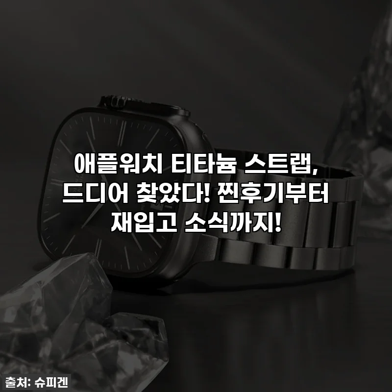 애플워치 티타늄 스트랩, 드디어 찾았다! 찐후기부터 재입고 소식까지!