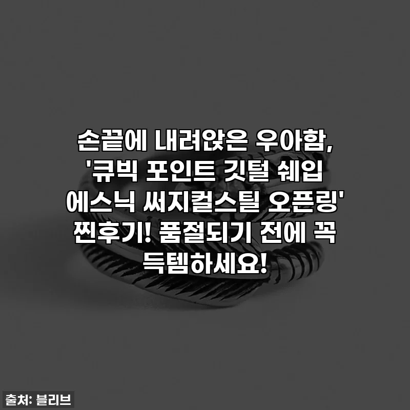 손끝에 내려앉은 우아함, '큐빅 포인트 깃털 쉐입 에스닉 써지컬스틸 오픈링' 찐후기! 품절되기 전에 꼭 득템하세요!