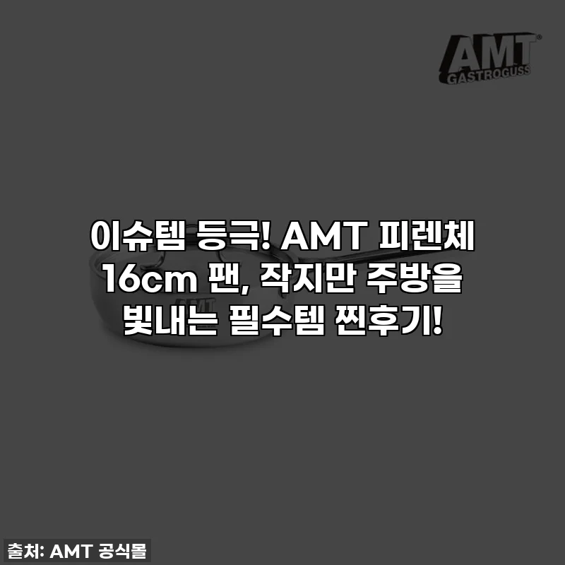 이슈템 등극! AMT 피렌체 16cm 팬, 작지만 주방을 빛내는 필수템 찐후기!