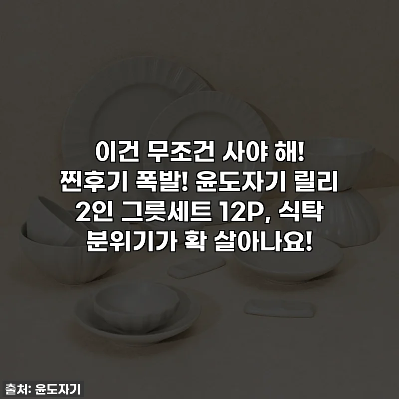 이건 무조건 사야 해! 찐후기 폭발! 윤도자기 릴리 2인 그릇세트 12P, 식탁 분위기가 확 살아나요!