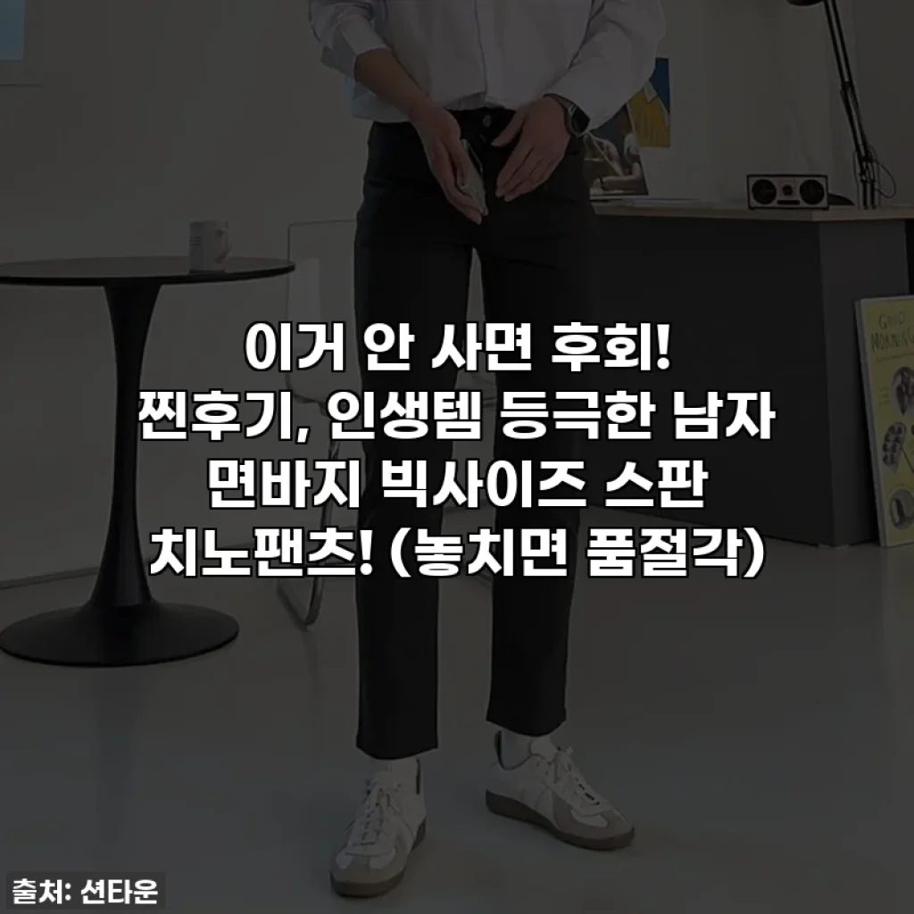 이거 안 사면 후회! 찐후기, 인생템 등극한 남자 면바지 빅사이즈 스판 치노팬츠! (놓치면 품절각)