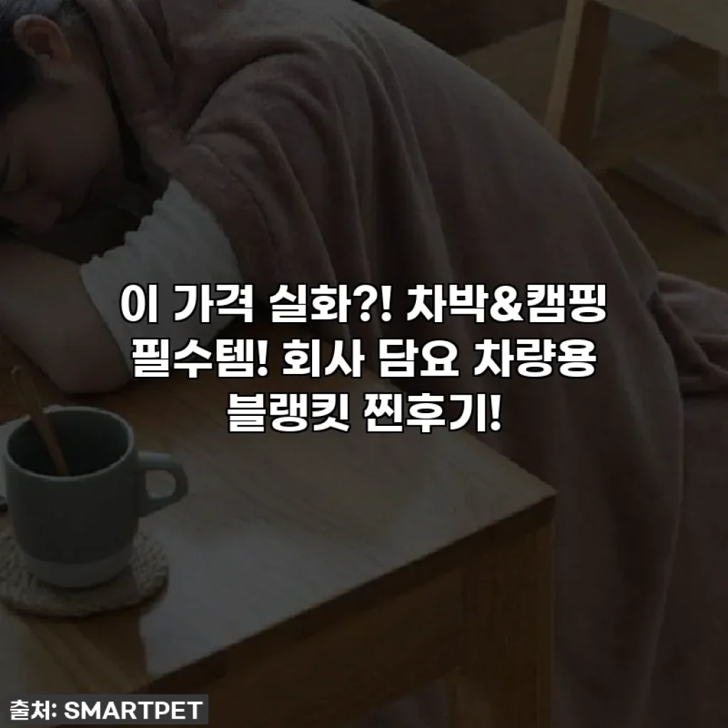 이 가격 실화?! 차박&캠핑 필수템! 회사 담요 차량용 블랭킷 찐후기!