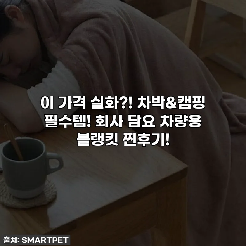 이 가격 실화?! 차박&캠핑 필수템! 회사 담요 차량용 블랭킷 찐후기!