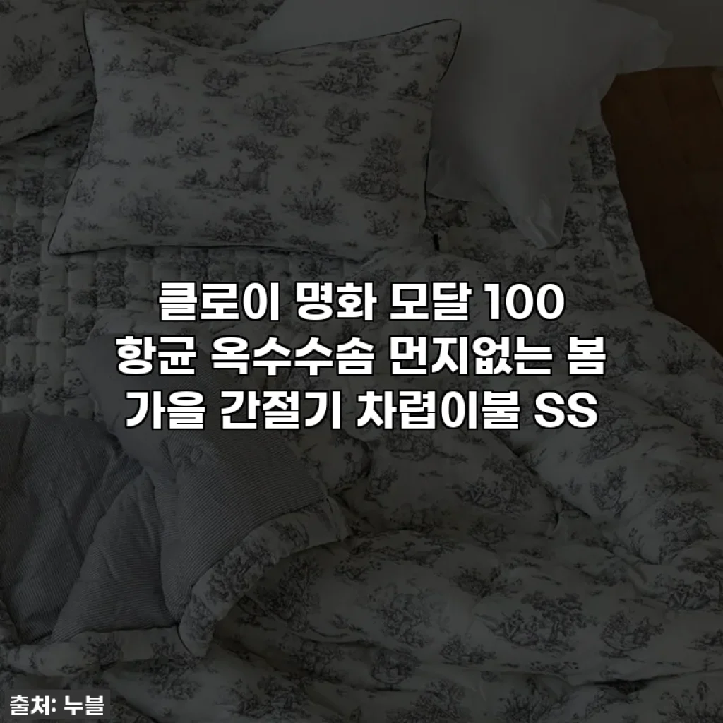클로이 명화 모달 100 항균 옥수수솜 먼지없는 봄 가을 간절기 차렵이불 SS
