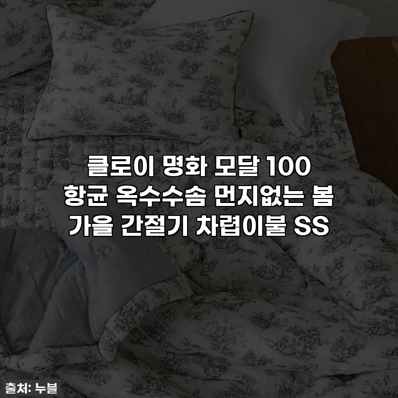 클로이 명화 모달 100 항균 옥수수솜 먼지없는 봄 가을 간절기 차렵이불 SS