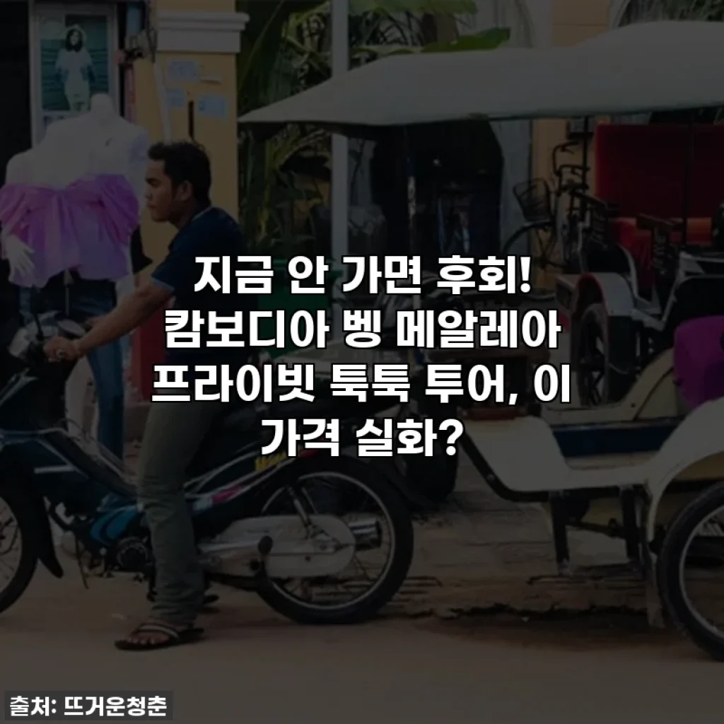 지금 안 가면 후회! 캄보디아 벵 메알레아 프라이빗 툭툭 투어, 이 가격 실화?