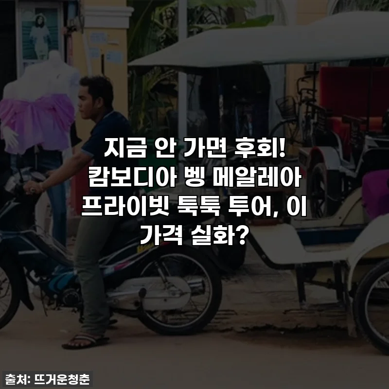 지금 안 가면 후회! 캄보디아 벵 메알레아 프라이빗 툭툭 투어, 이 가격 실화?