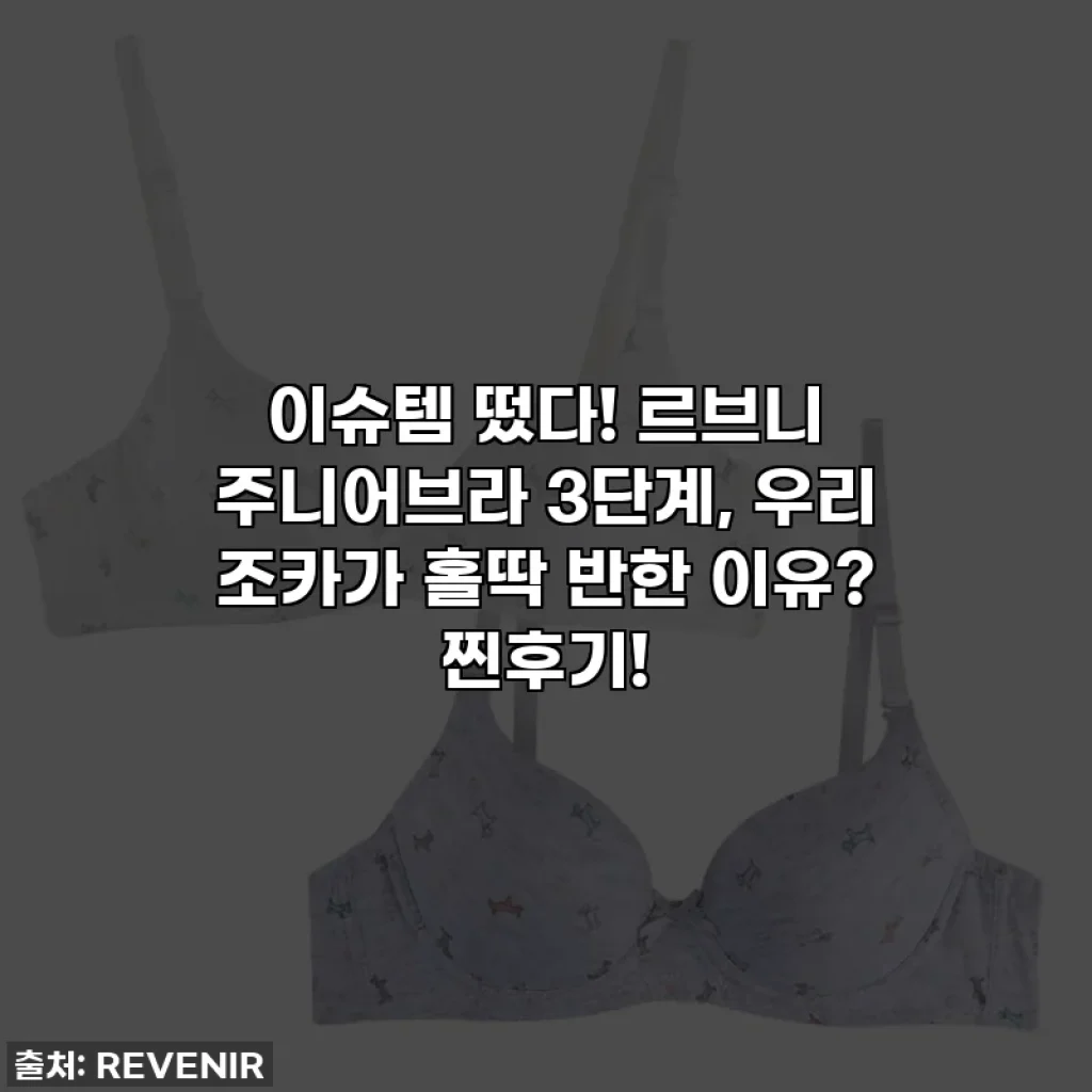 이슈템 떴다! 르브니 주니어브라 3단계, 우리 조카가 홀딱 반한 이유? 찐후기!
