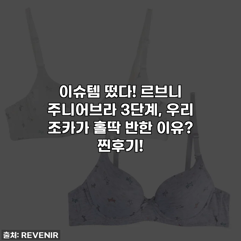 이슈템 떴다! 르브니 주니어브라 3단계, 우리 조카가 홀딱 반한 이유? 찐후기!