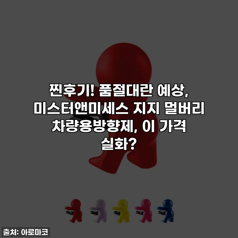 찐후기! 품절대란 예상, 미스터앤미세스 지지 멀버리 차량용방향제, 이 가격 실화?