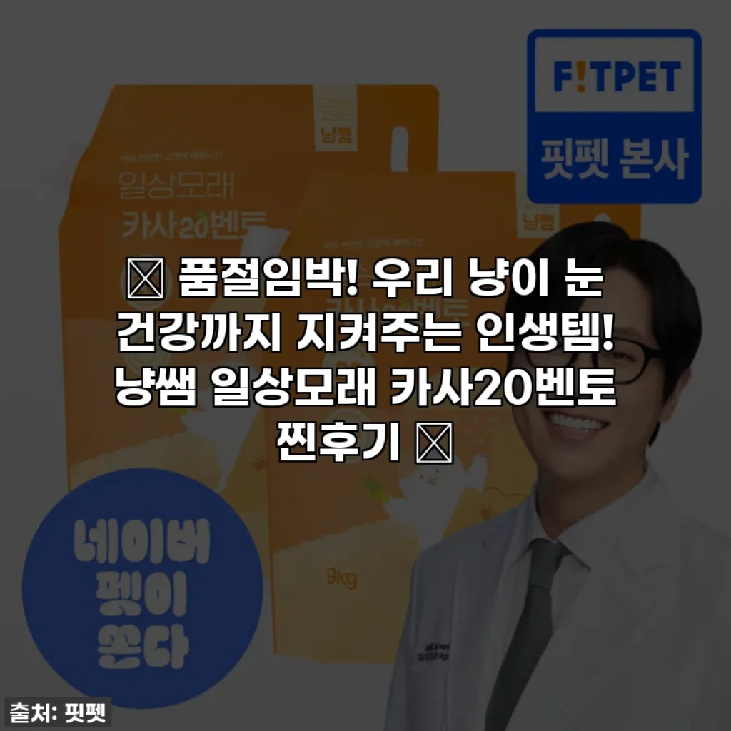 ✨ 품절임박! 우리 냥이 눈 건강까지 지켜주는 인생템! 냥쌤 일상모래 카사20벤토 찐후기 ✨