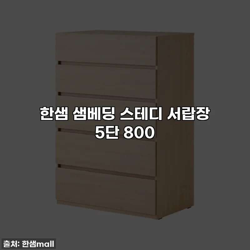 한샘 샘베딩 스테디 서랍장 5단 800