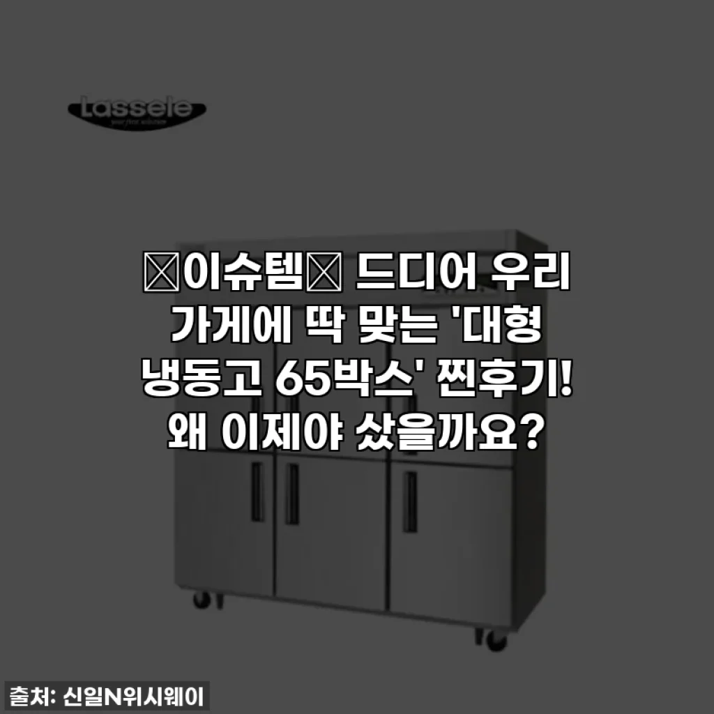 ✨이슈템✨ 드디어 우리 가게에 딱 맞는 '대형 냉동고 65박스' 찐후기! 왜 이제야 샀을까요?