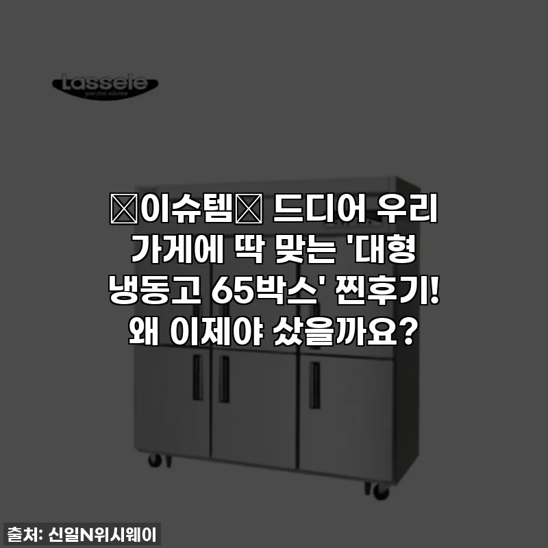 ✨이슈템✨ 드디어 우리 가게에 딱 맞는 '대형 냉동고 65박스' 찐후기! 왜 이제야 샀을까요?