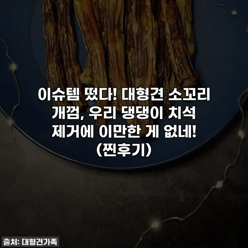 이슈템 떴다! 대형견 소꼬리 개껌, 우리 댕댕이 치석 제거에 이만한 게 없네! (찐후기)
