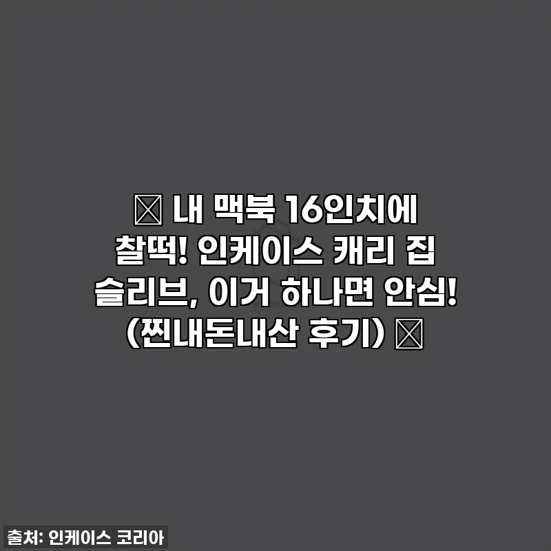 ✨ 내 맥북 16인치에 찰떡! 인케이스 캐리 집 슬리브, 이거 하나면 안심! (찐내돈내산 후기) ✨
