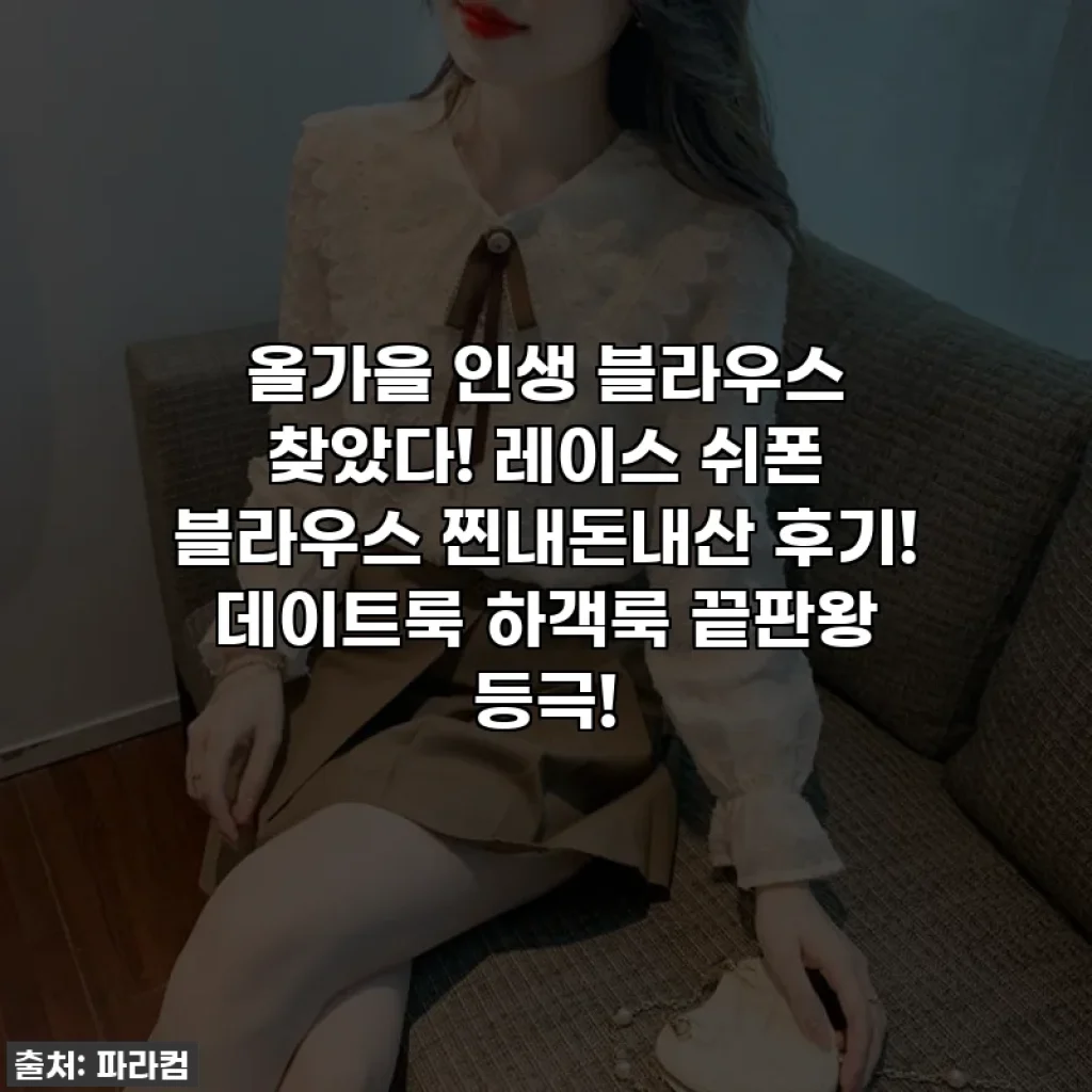 올가을 인생 블라우스 찾았다! 레이스 쉬폰 블라우스 찐내돈내산 후기! 데이트룩 하객룩 끝판왕 등극!
