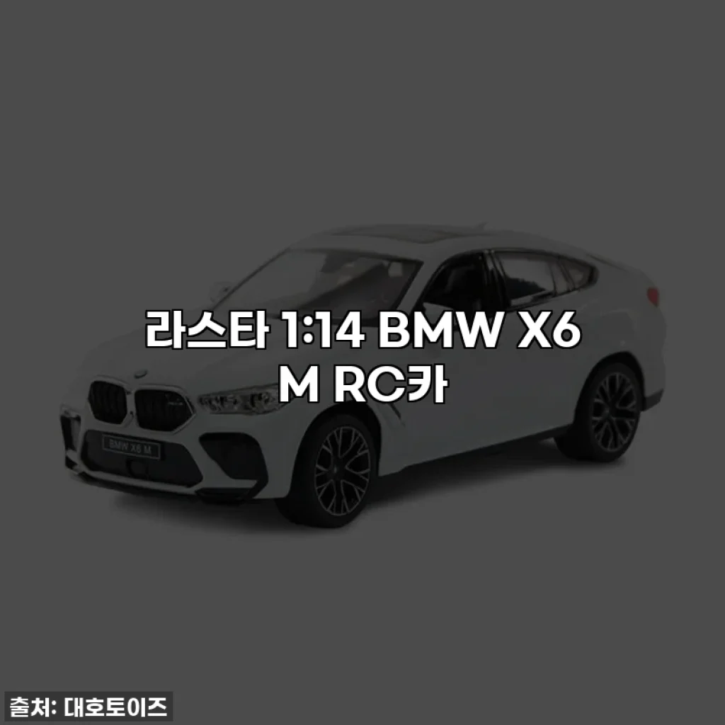 라스타 1:14 BMW X6 M RC카