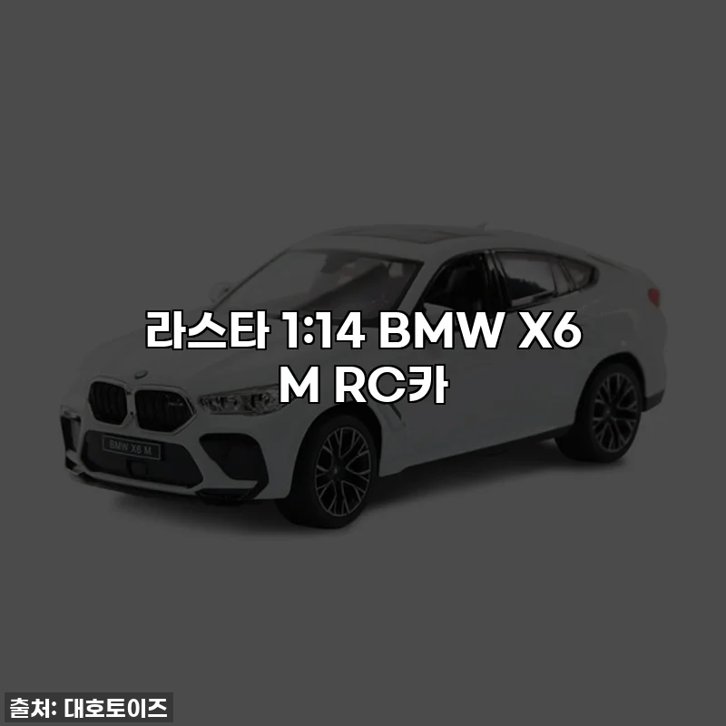 라스타 1:14 BMW X6 M RC카