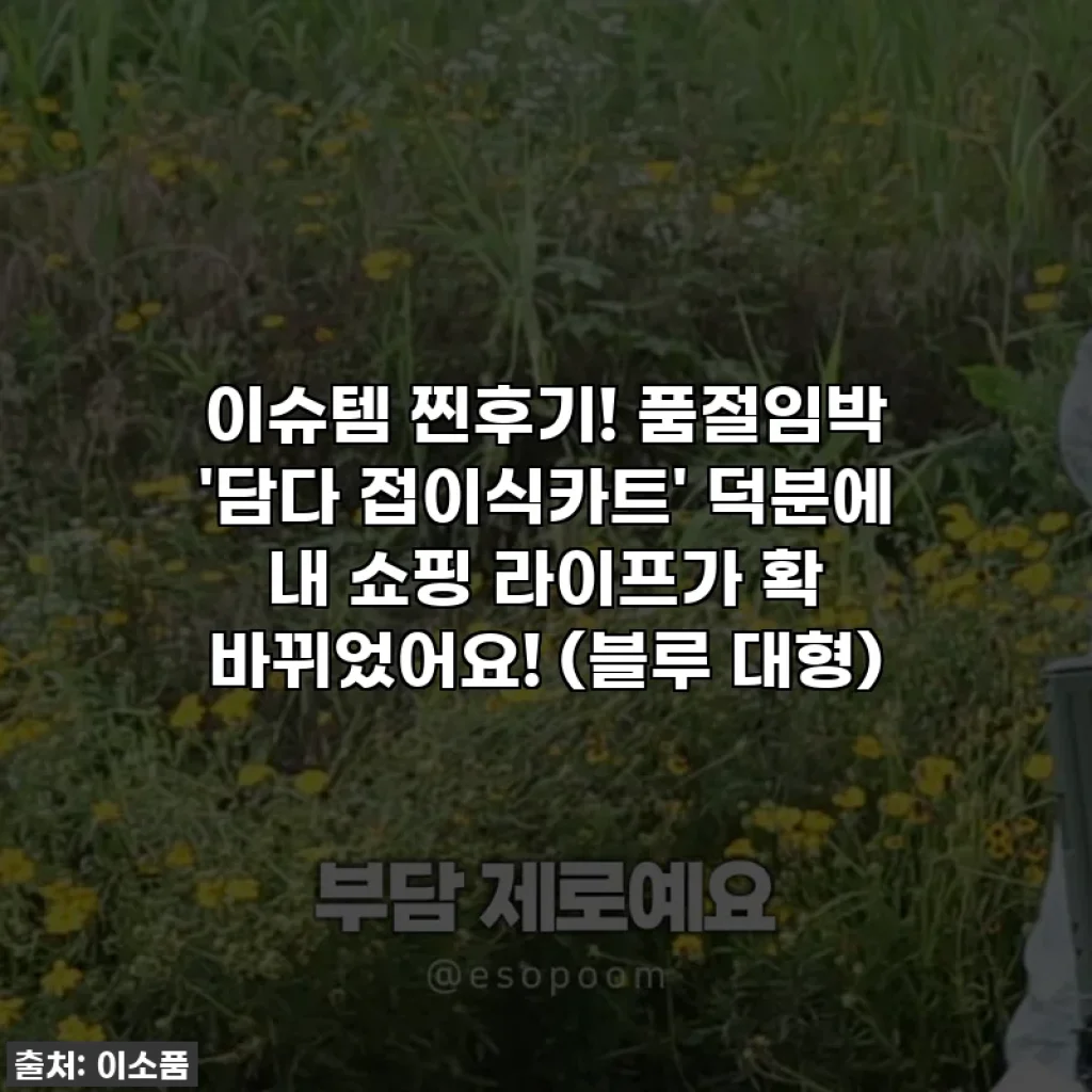 이슈템 찐후기! 품절임박 '담다 접이식카트' 덕분에 내 쇼핑 라이프가 확 바뀌었어요! (블루 대형)