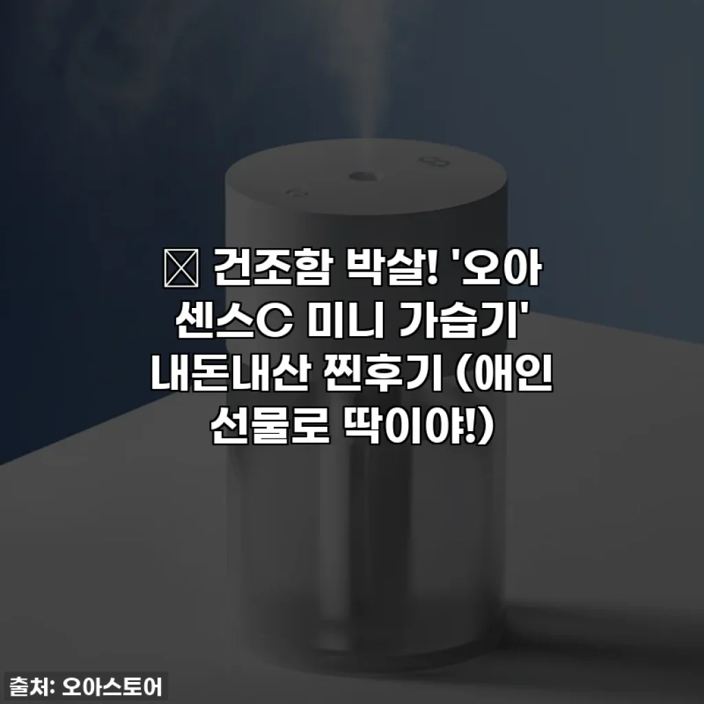 🎁 건조함 박살! '오아 센스C 미니 가습기' 내돈내산 찐후기 (애인 선물로 딱이야!)