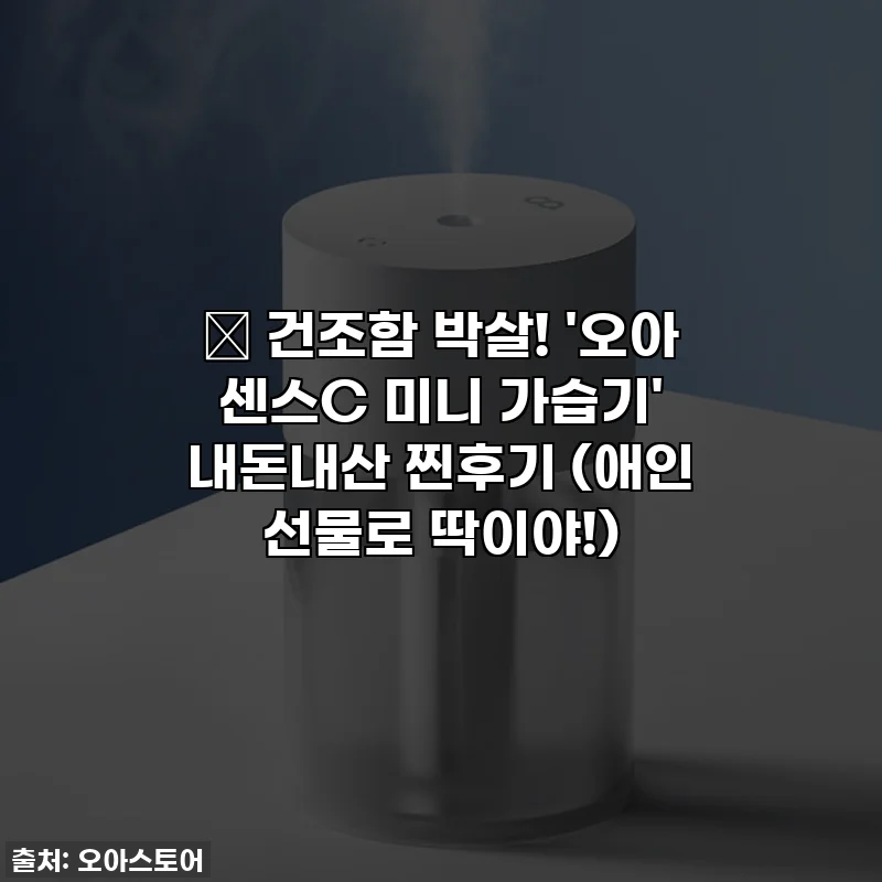 🎁 건조함 박살! '오아 센스C 미니 가습기' 내돈내산 찐후기 (애인 선물로 딱이야!)