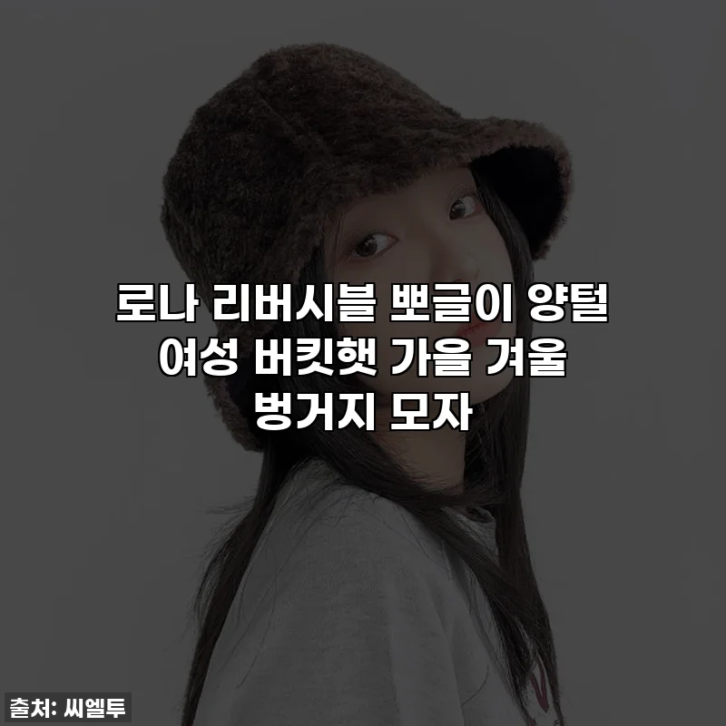 로나 리버시블 뽀글이 양털 여성 버킷햇 가을 겨울 벙거지 모자