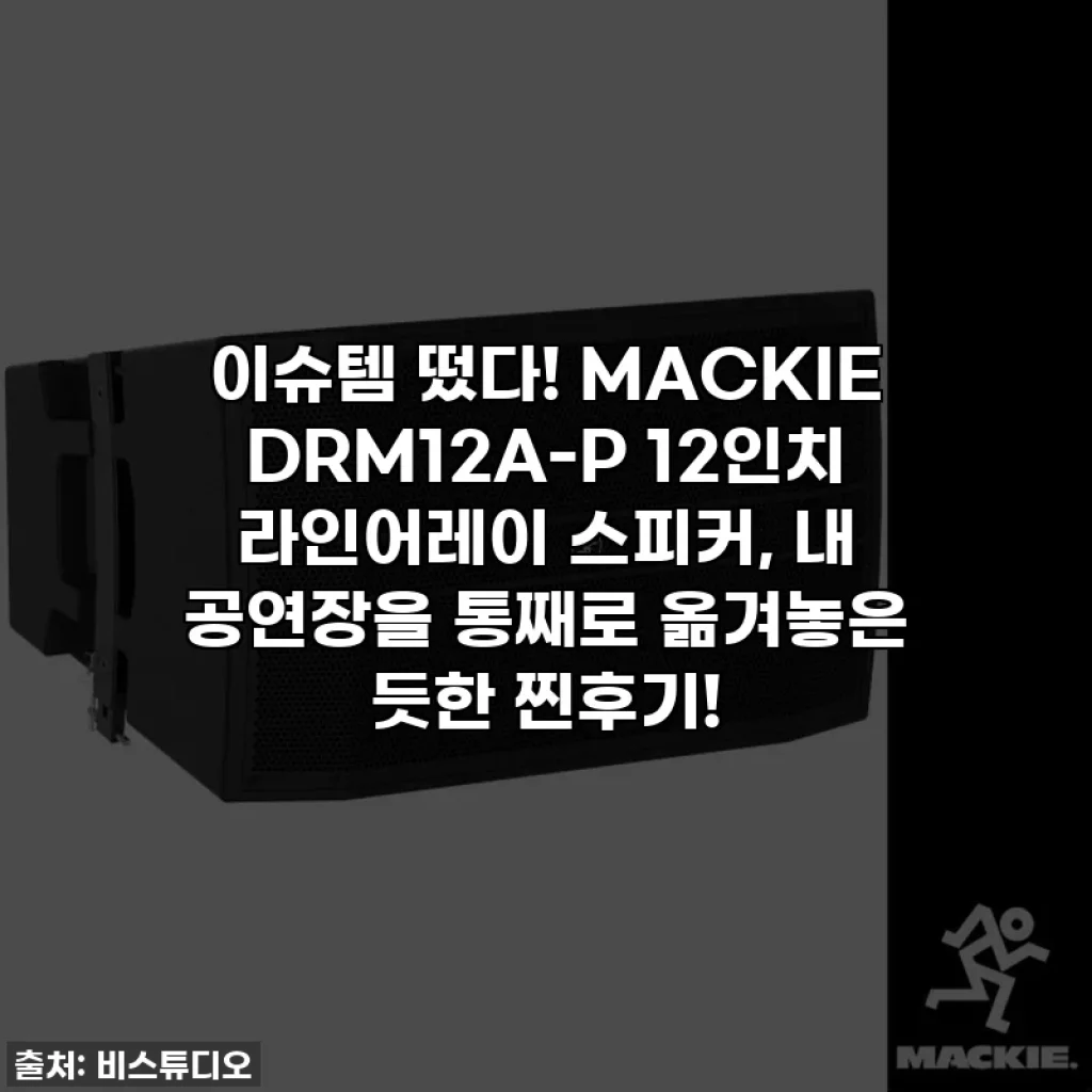 이슈템 떴다! MACKIE DRM12A-P 12인치 라인어레이 스피커, 내 공연장을 통째로 옮겨놓은 듯한 찐후기!