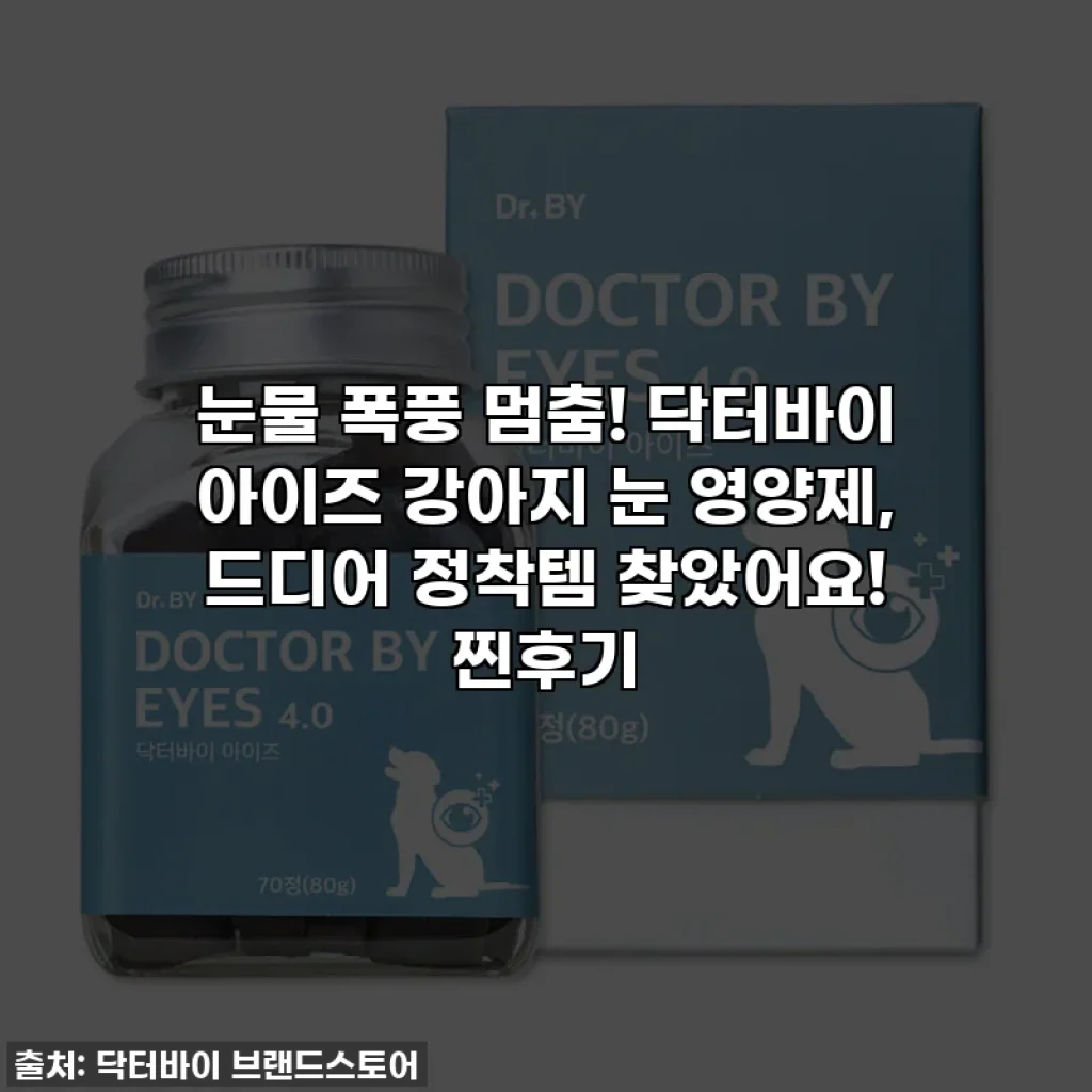 눈물 폭풍 멈춤! 닥터바이 아이즈 강아지 눈 영양제, 드디어 정착템 찾았어요! 찐후기