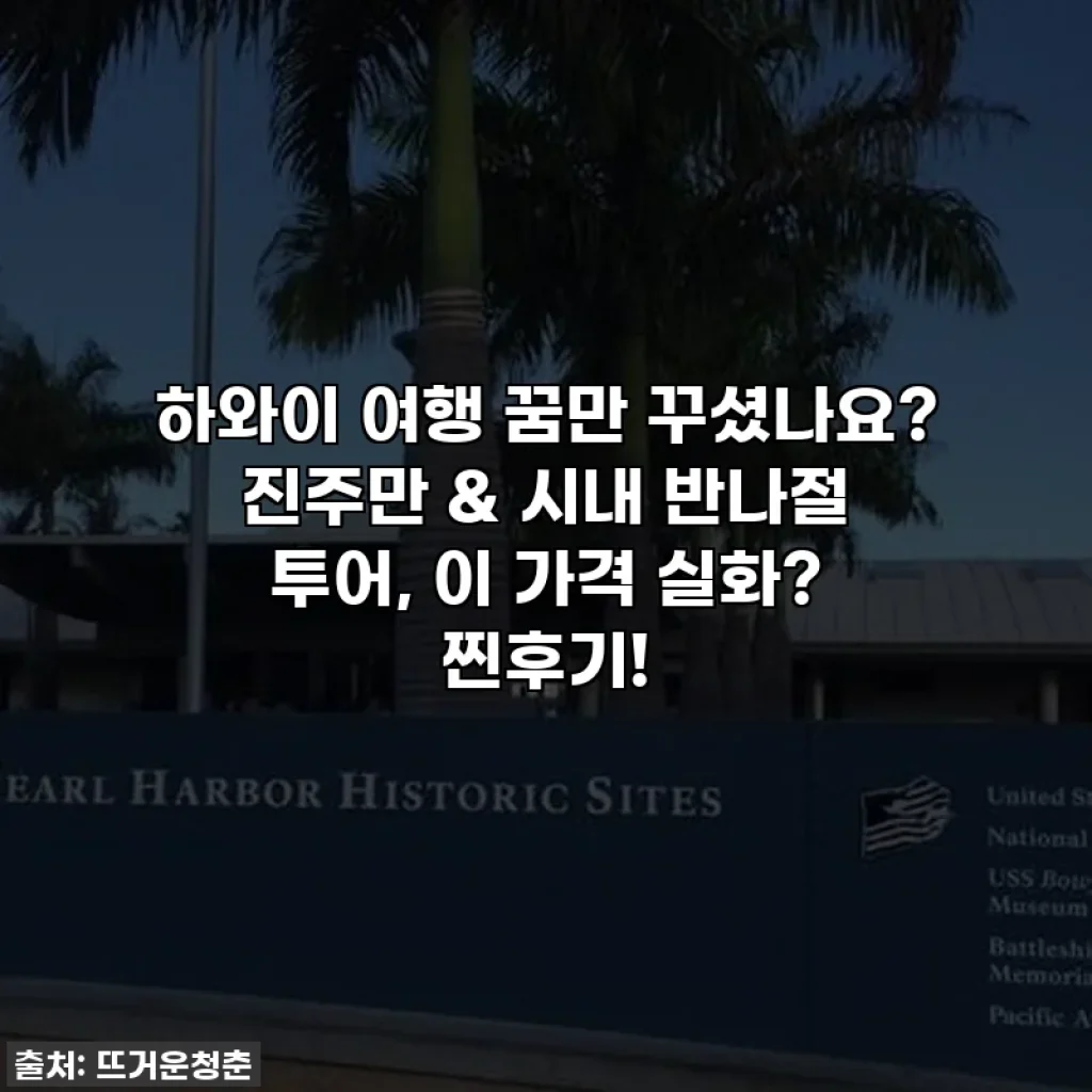 하와이 여행 꿈만 꾸셨나요? 진주만 & 시내 반나절 투어, 이 가격 실화? 찐후기!
