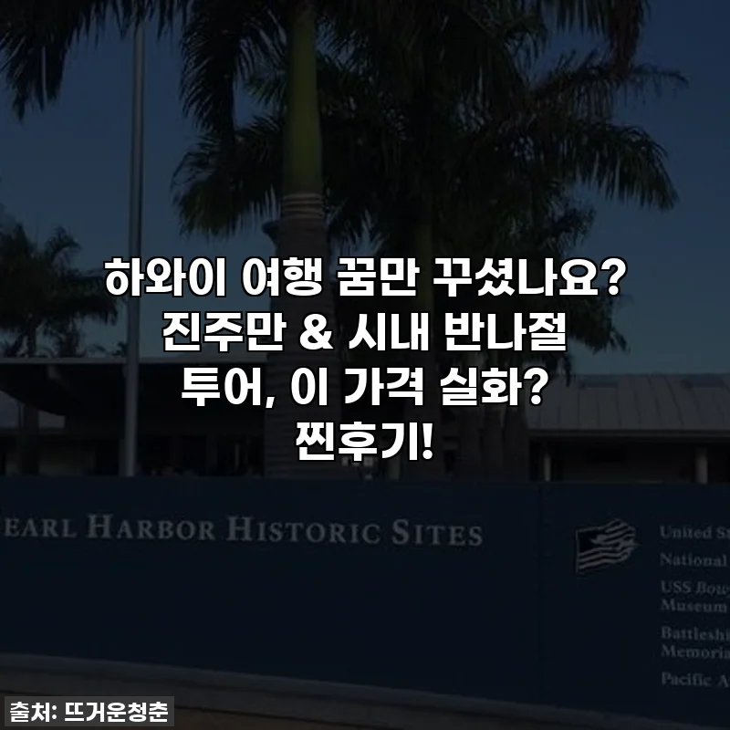 하와이 여행 꿈만 꾸셨나요? 진주만 & 시내 반나절 투어, 이 가격 실화? 찐후기!