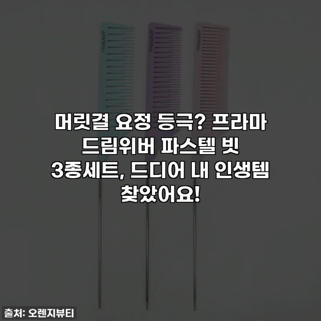 ✨머릿결 요정 등극?✨ 프라마 드림위버 파스텔 빗 3종세트, 드디어 내 인생템 찾았어요!