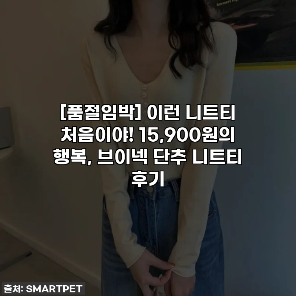 [품절임박] 이런 니트티 처음이야! 15,900원의 행복, 브이넥 단추 니트티 후기