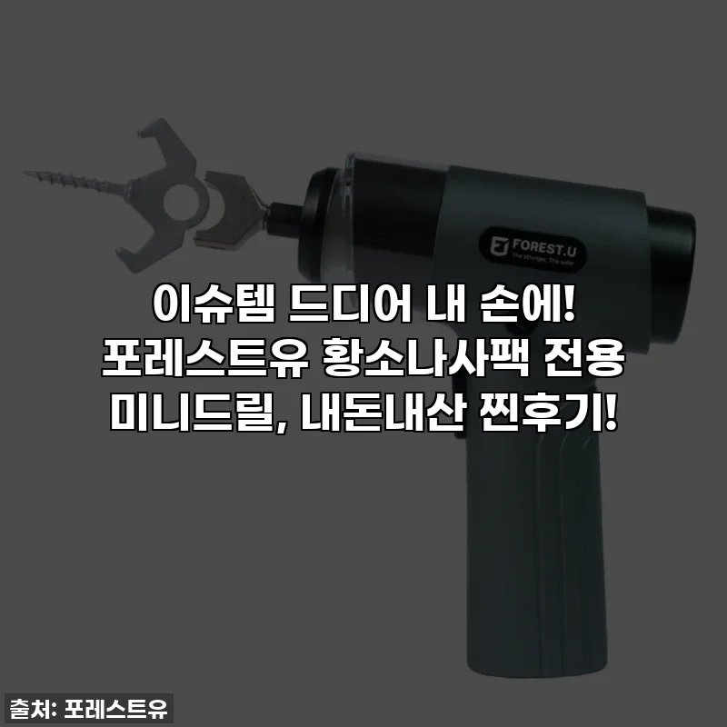 이슈템 드디어 내 손에! 포레스트유 황소나사팩 전용 미니드릴, 내돈내산 찐후기!