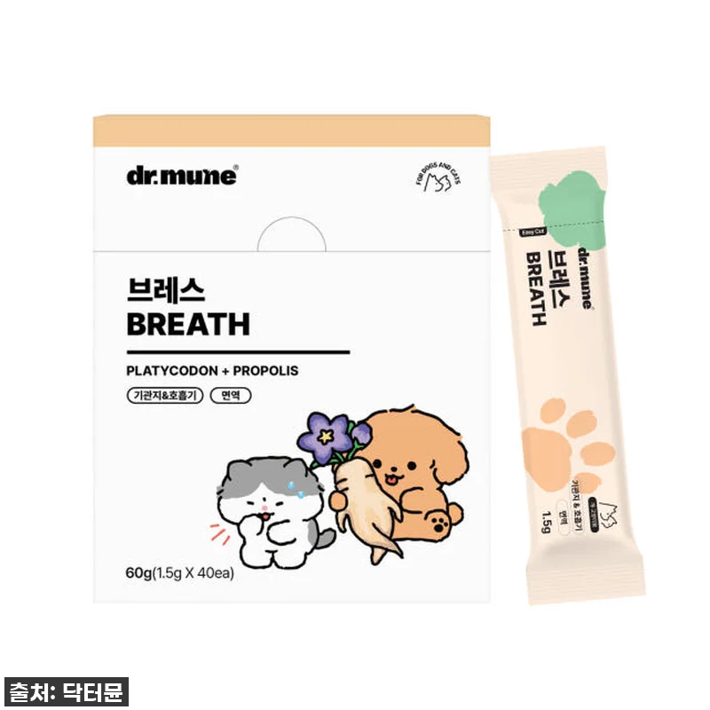 찐후기) 우리 멍냥이 켁켁거림 이제 관련 이미지 1