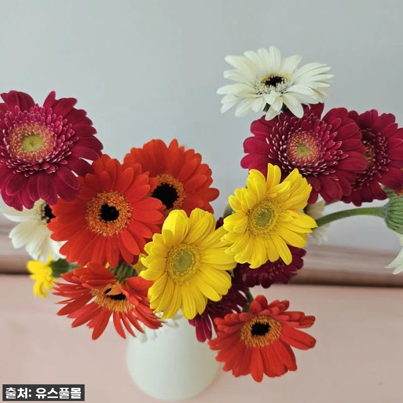 봄맞이 감성 충전! 유스풀몰 미니거베 관련 이미지 1