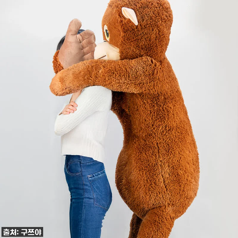 아이 방에 나타난 오랑우탄?! 구쯔야 관련 이미지 1