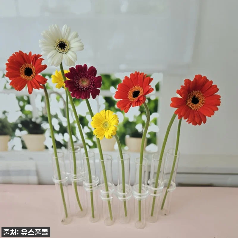 봄맞이 감성 충전! 유스풀몰 미니거베 관련 이미지 3