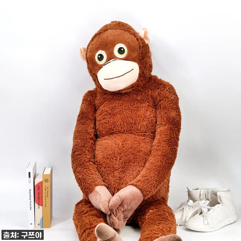 아이 방에 나타난 오랑우탄?! 구쯔야 관련 이미지 3