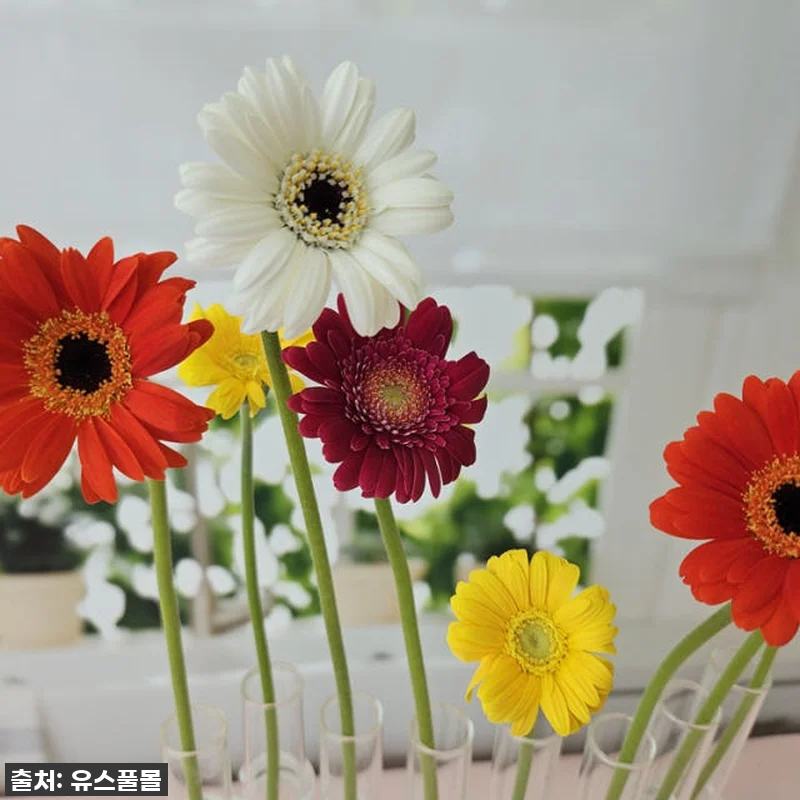 봄맞이 감성 충전! 유스풀몰 미니거베 관련 이미지 4
