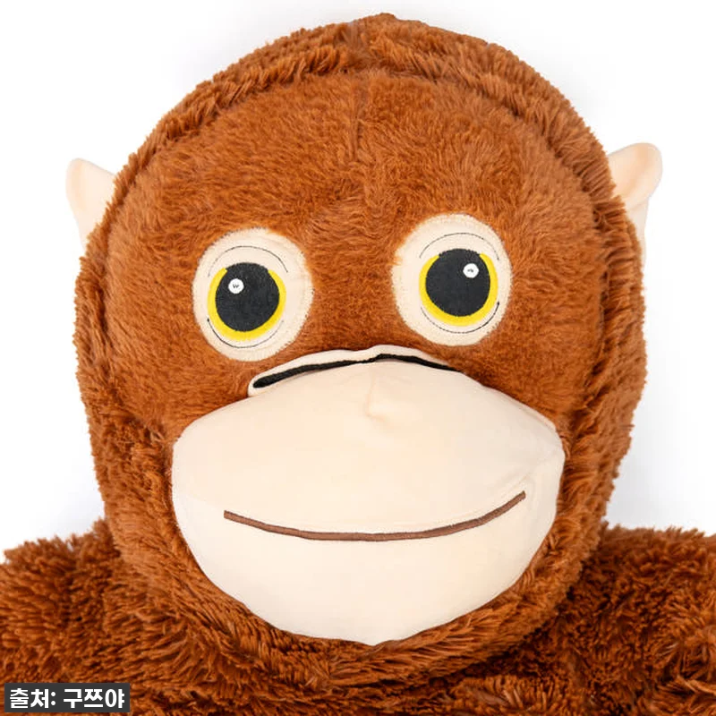 아이 방에 나타난 오랑우탄?! 구쯔야 관련 이미지 4