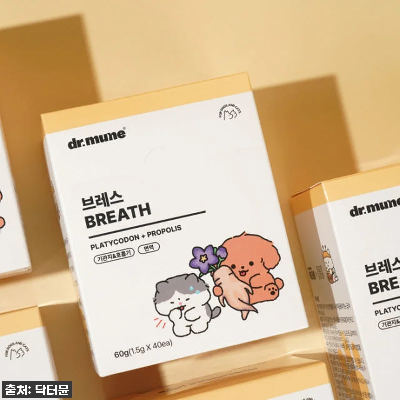 찐후기) 우리 멍냥이 켁켁거림 이제 관련 이미지 5